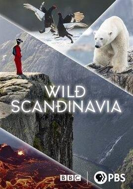 Wild Scandinavia