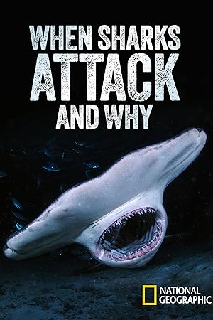 When Sharks Attack... and Why