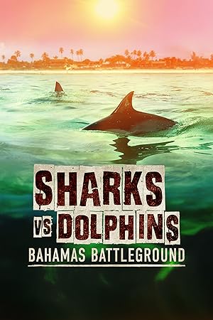 Sharks vs. Dolphins: Bahamas Battleground