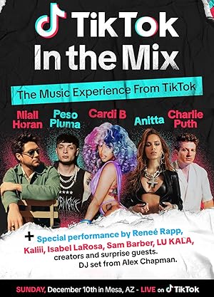 TikTok: In the Mix