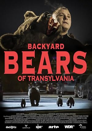 Backyard Bears of Transylvania