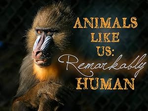 Animals Like Us