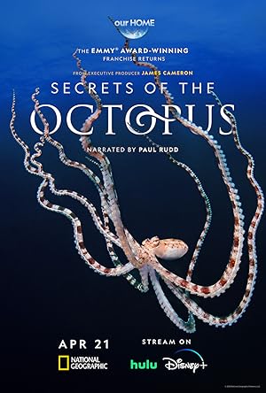 Secrets of the Octopus