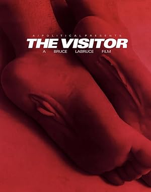 The Visitor