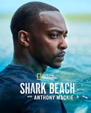 Shark Beach with Anthony Mackie