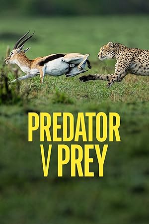 Predator v Prey