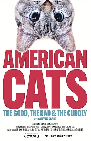 American Cats: The Good, the Bad, and the Cuddly