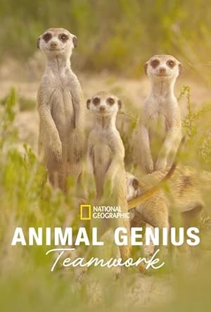 Animal Genius